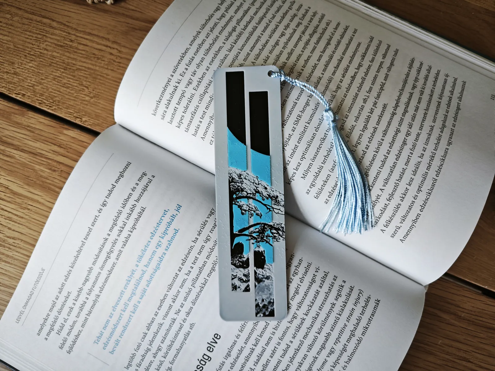 Zen Window Bookmark
