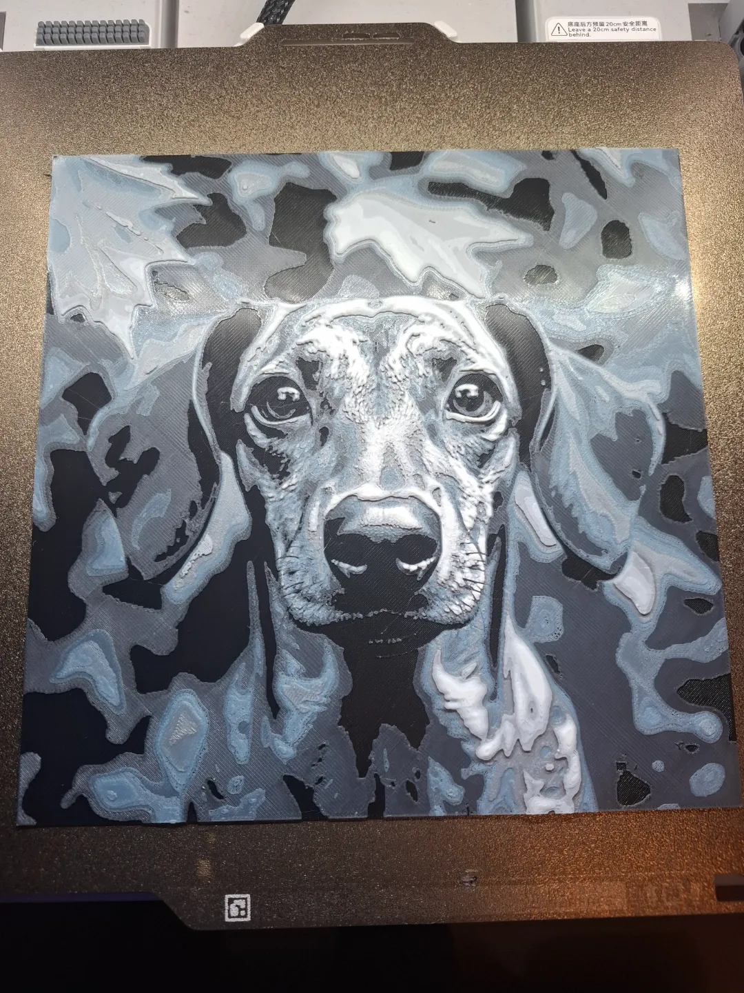Dachshund Hueforge 200 x 200mm