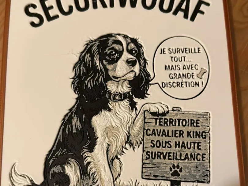 AMS NON REQUIS cavalier king charles securiwouaf