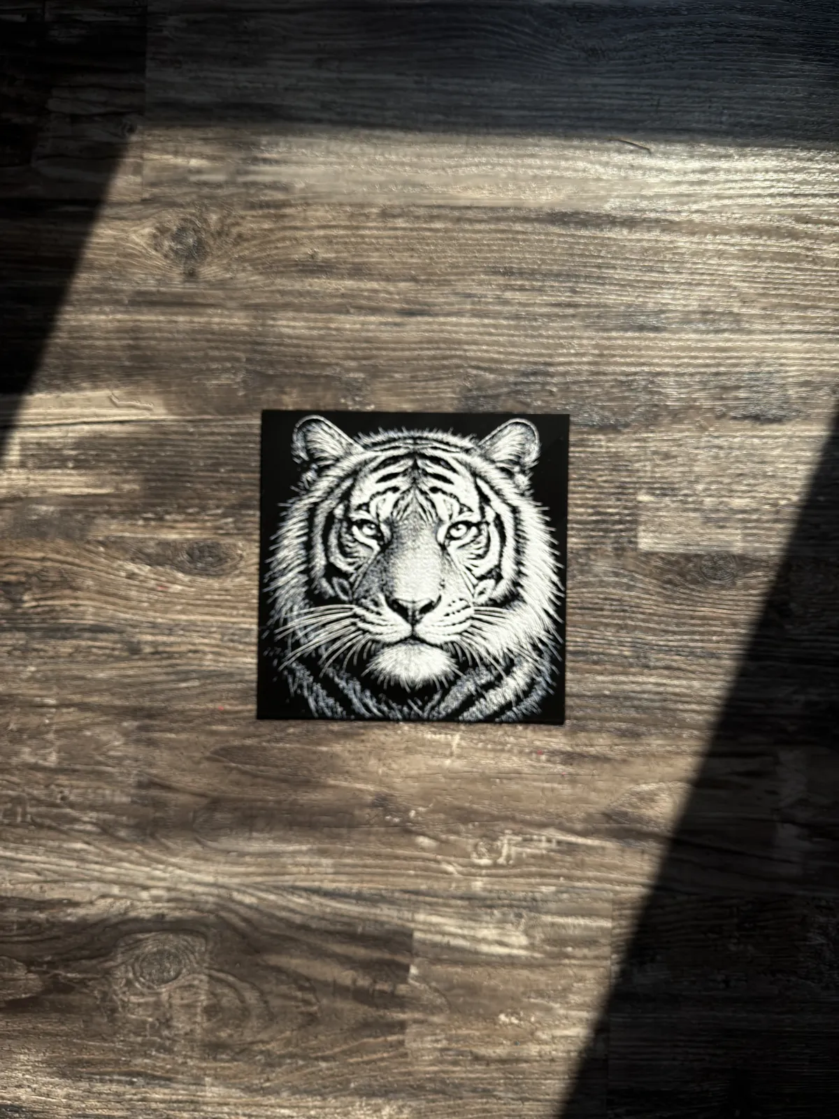Tiger HueForge Wildlife Series