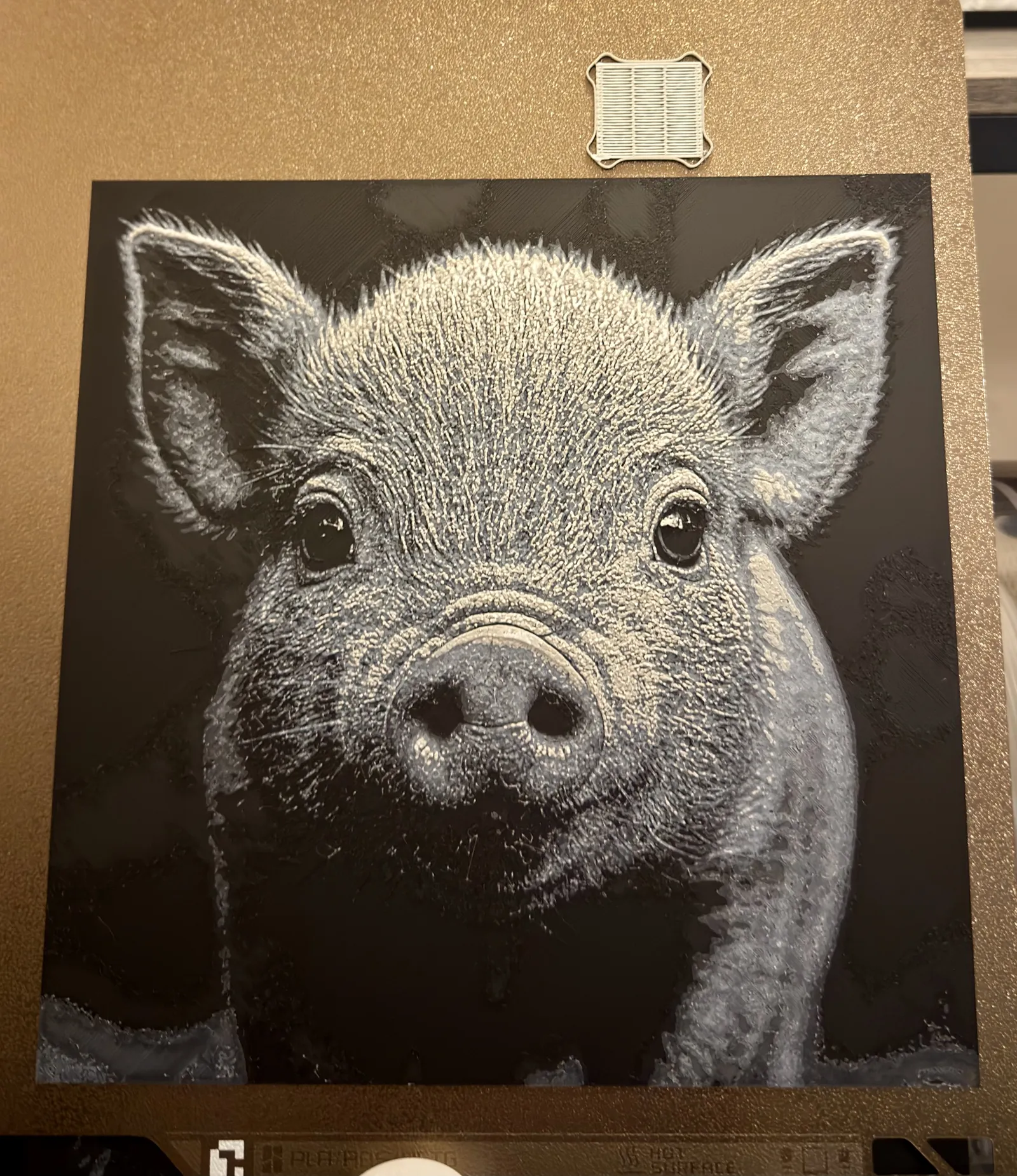 Hueforge Pig
