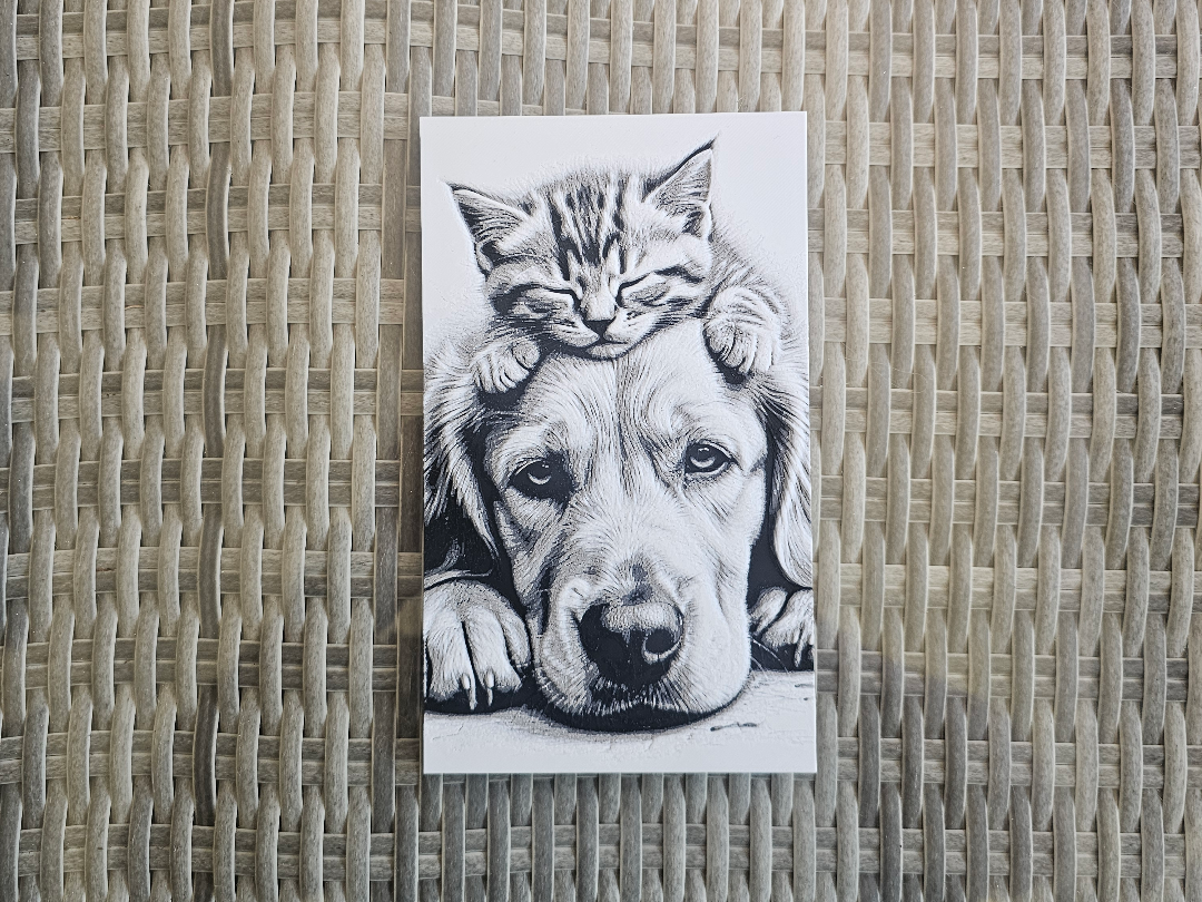Hund Katze Tier Hueforge