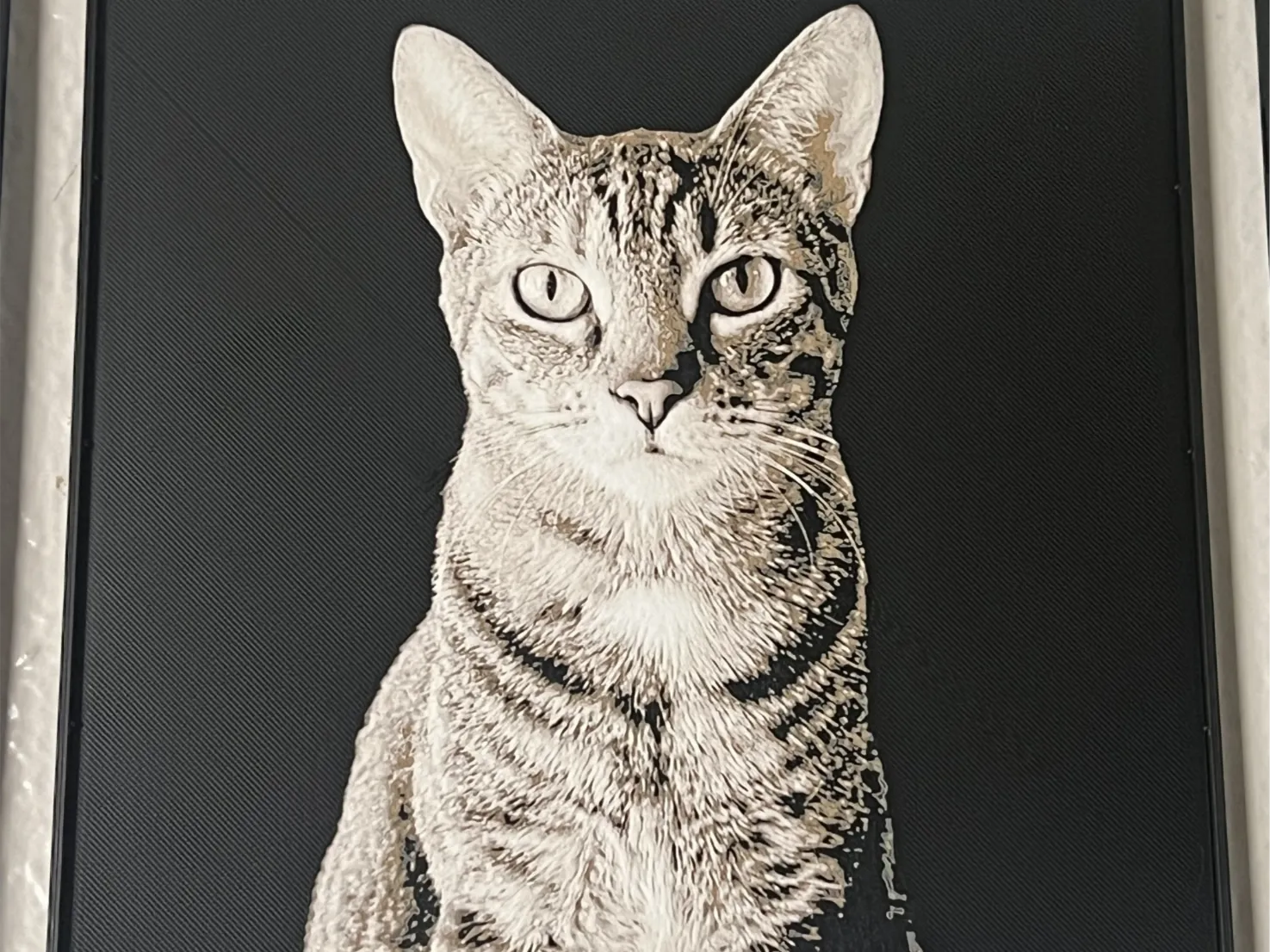 Tabby/Torbie cat in HueForge