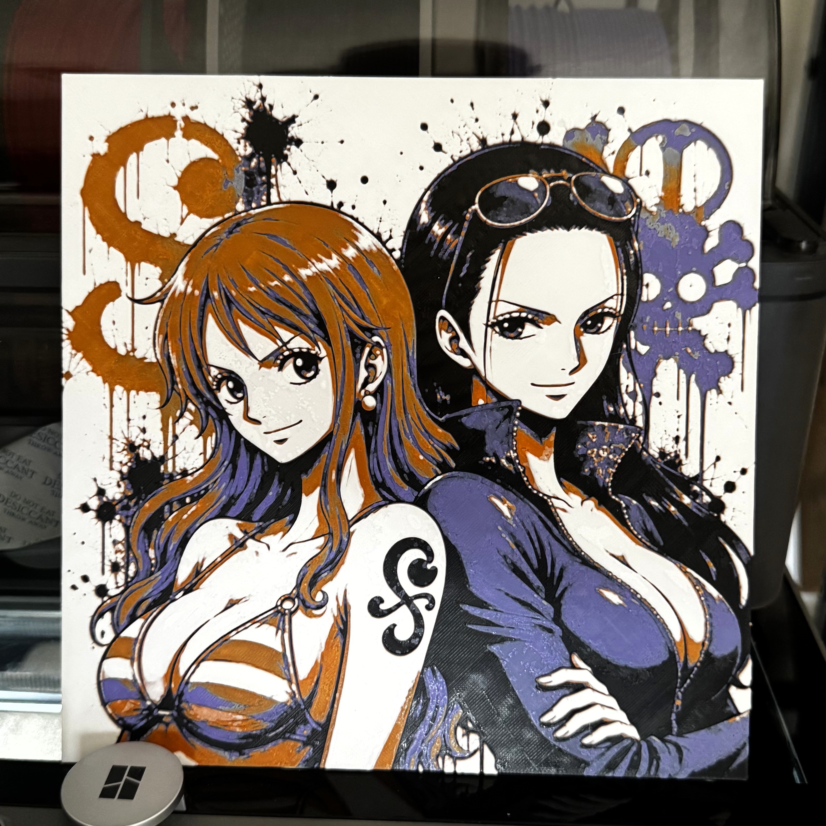 One Piece Nami & Robin Hueforge