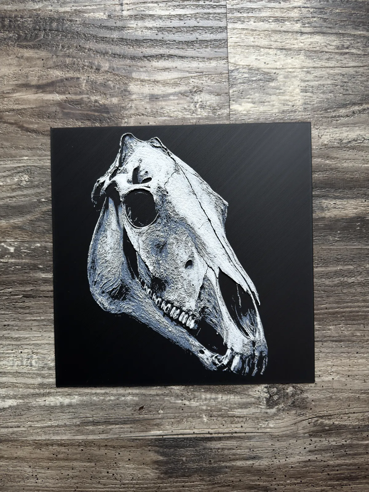Horse Skull Series