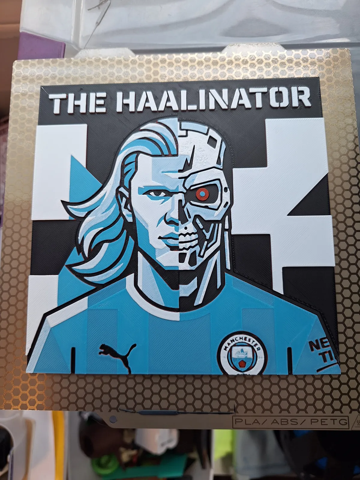 The Haalinator - Hueforge 4 Colour