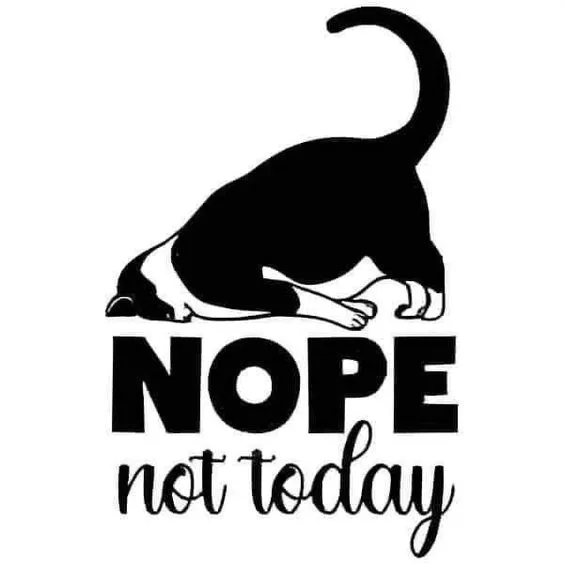Nope not Today [Hue Forge]