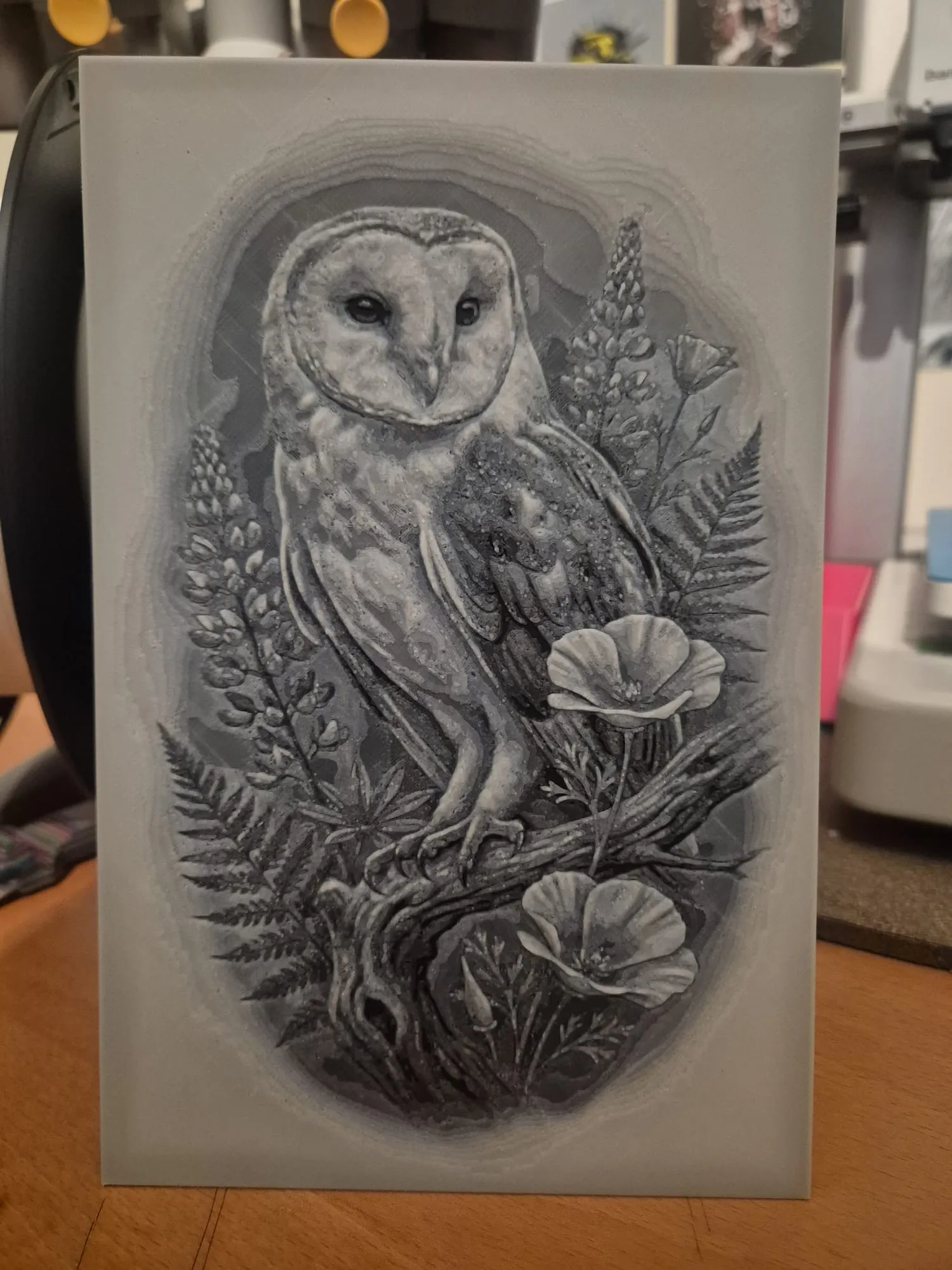 the owl