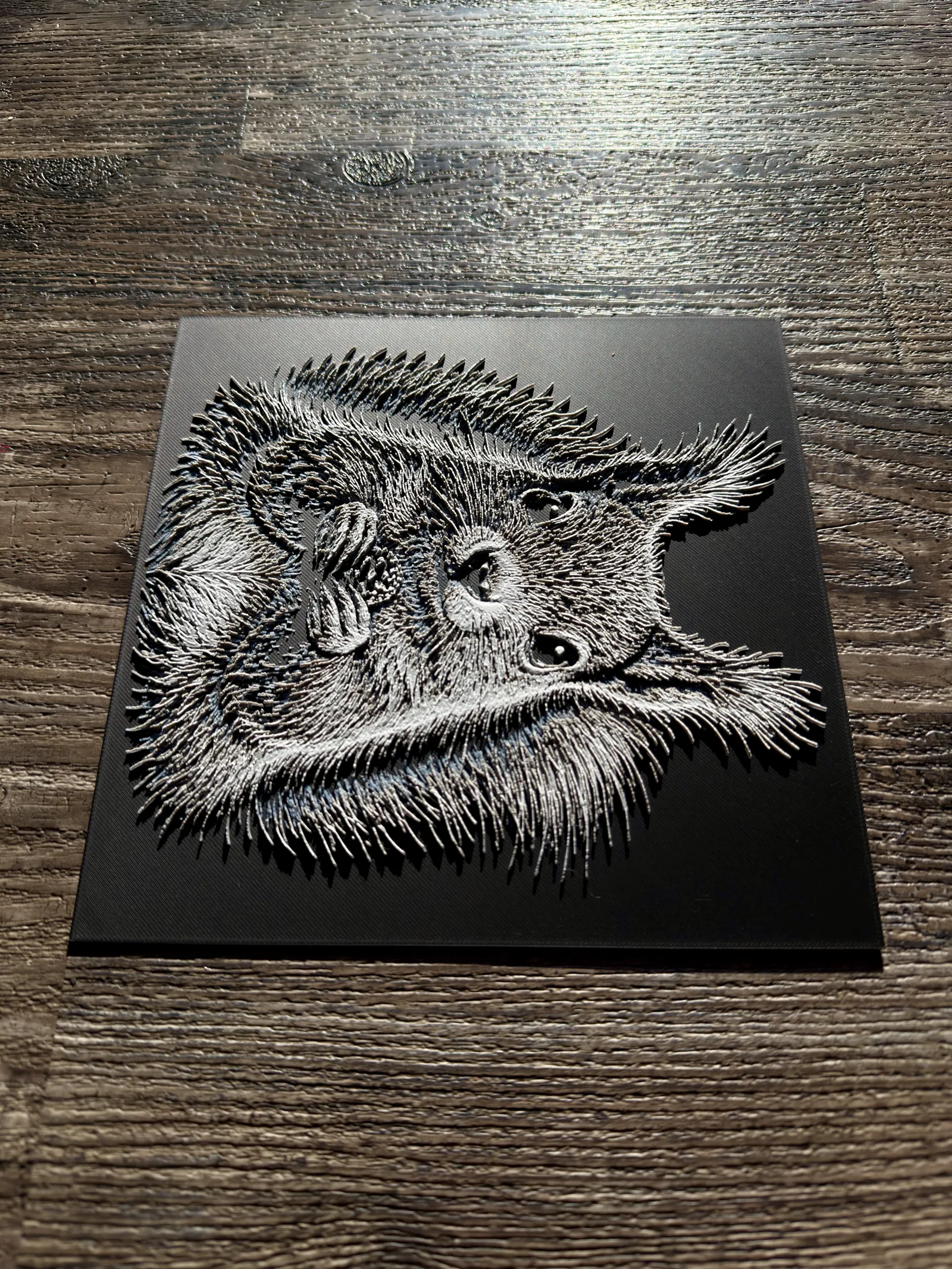 Squirrel Wildlife Series