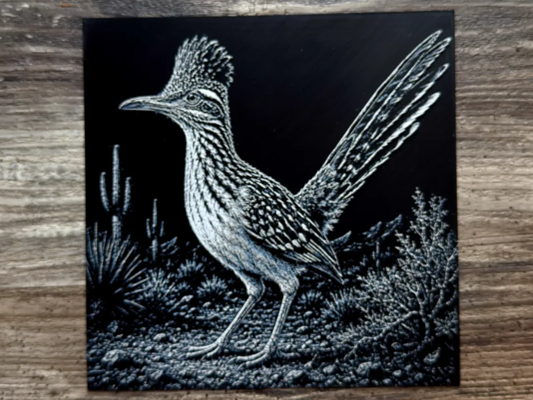 Roadrunner Wildlife Series