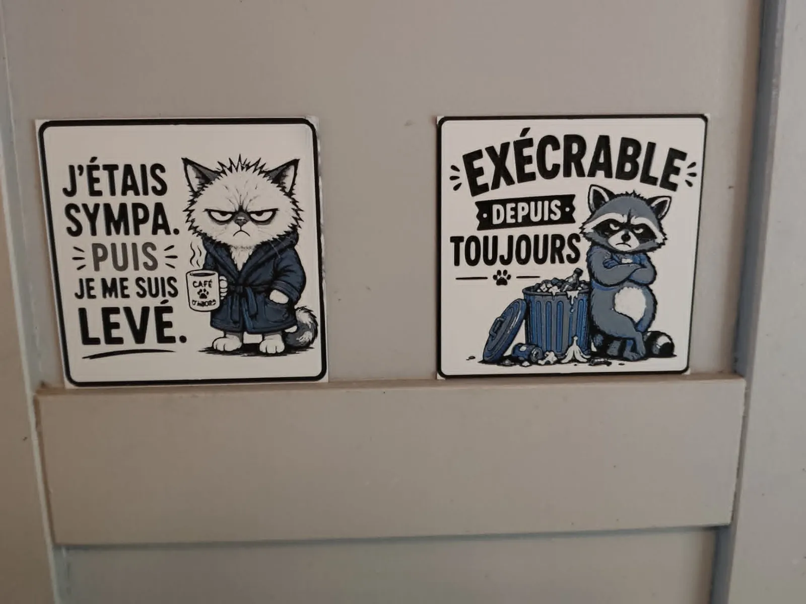 raton laveur et chat énervés hueforge