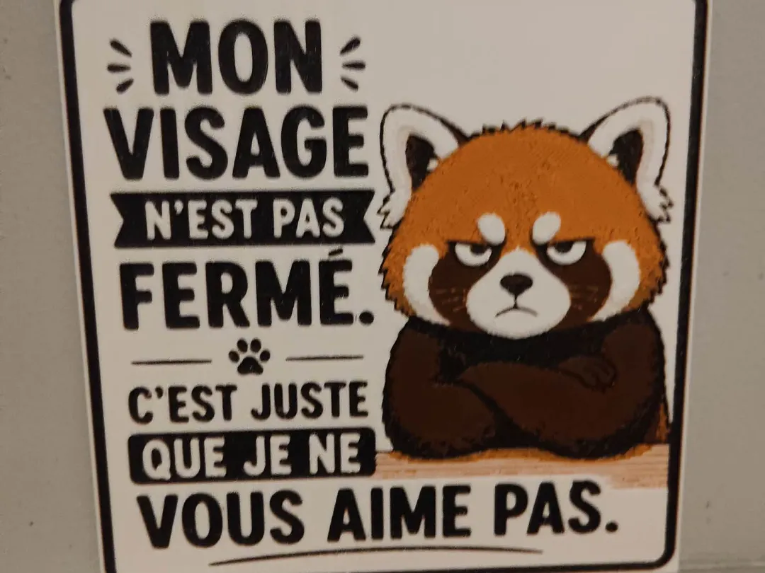 panda roux pas content ams non obligatoire