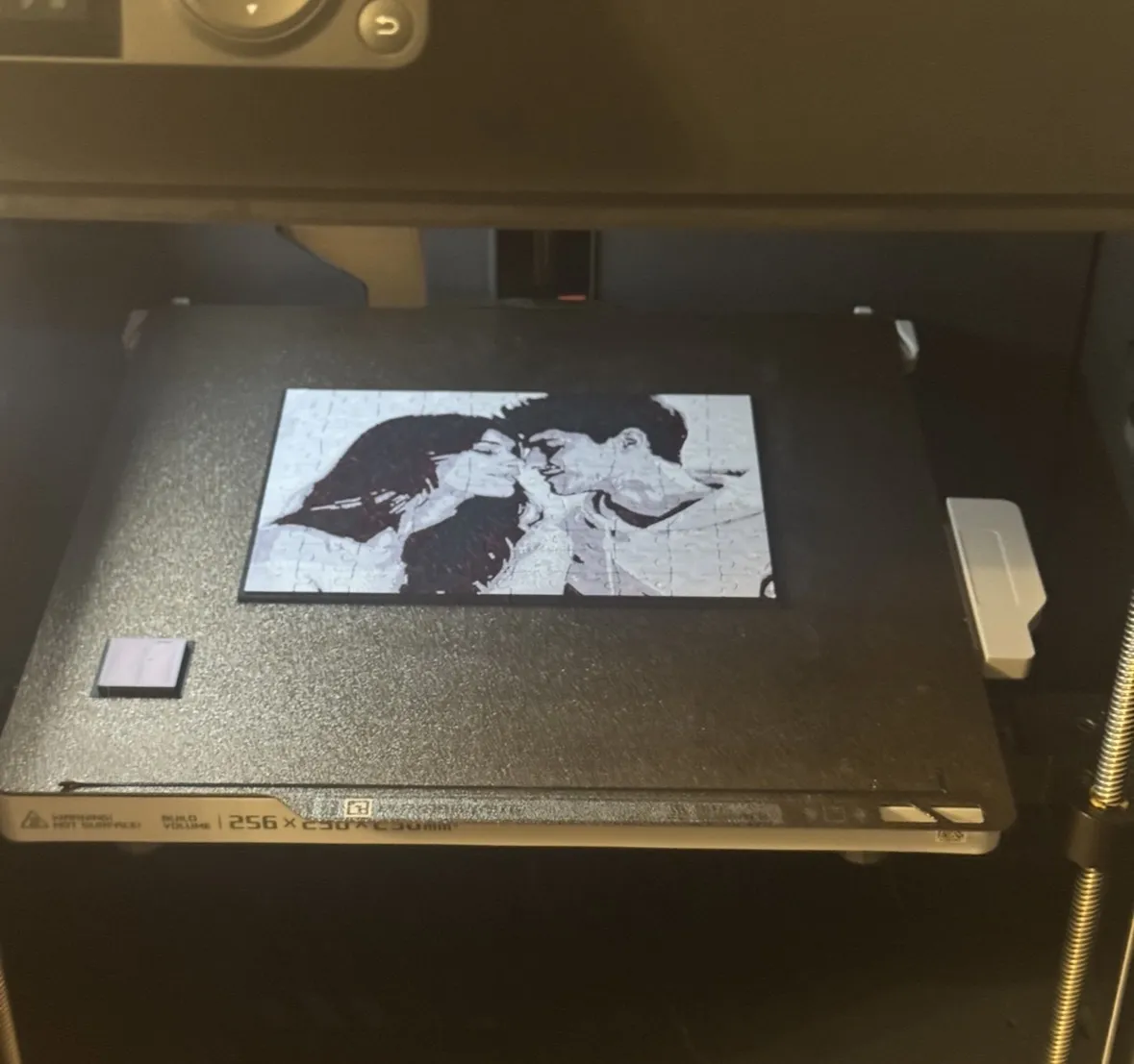Personalized 100Piece Puzzle/Jigsaw Custom Photo