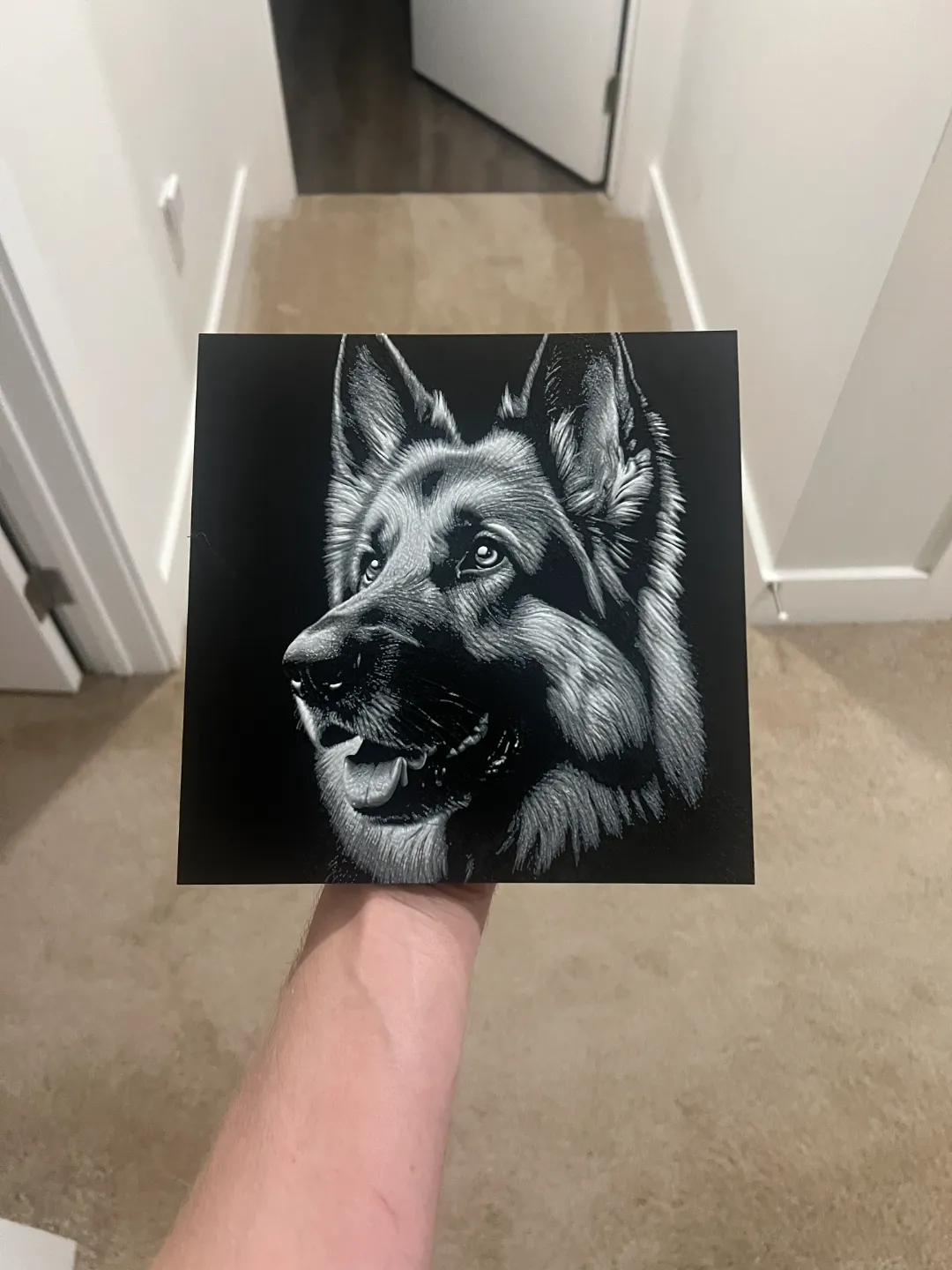 German Shepherd