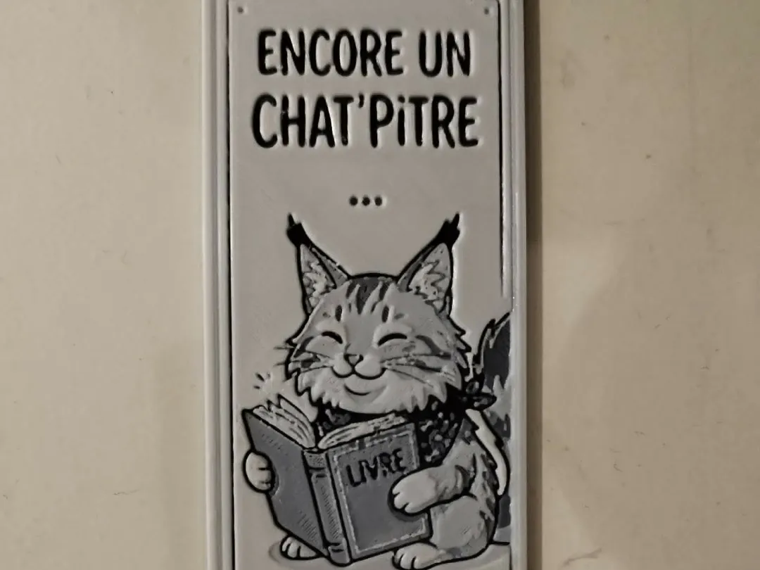 maincoon marque page hueforge ams non requis