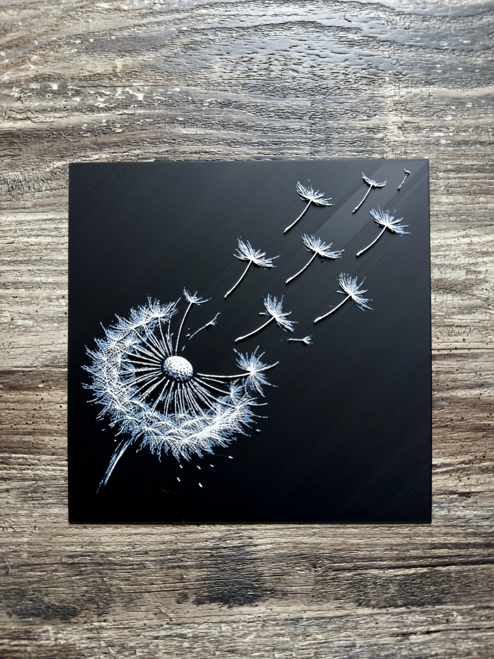 Dandelion Flower Series
