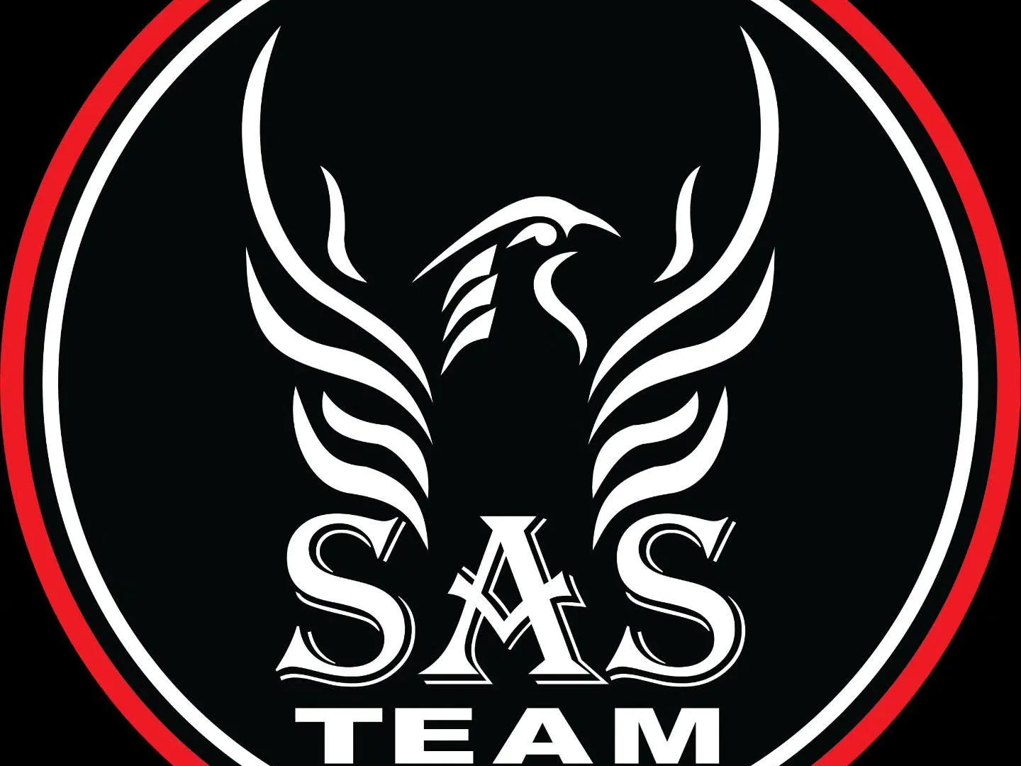 SAS Team BJJ Hue Forge