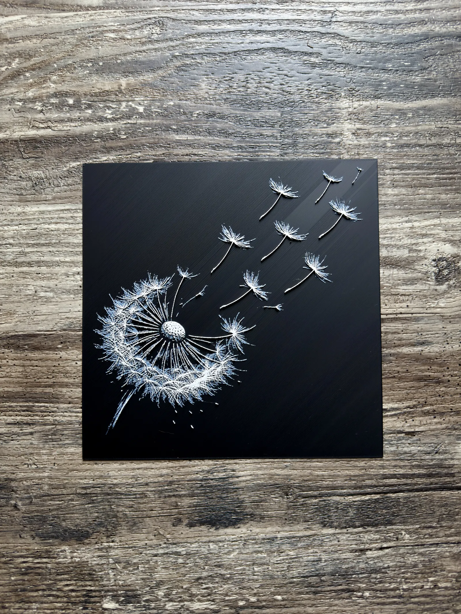 Dandelion Flower Series